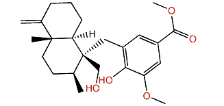 Polyfibrospongol B